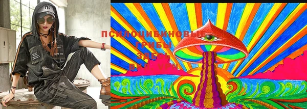 молекула духа Вяземский