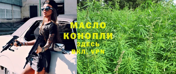 молекула духа Вяземский