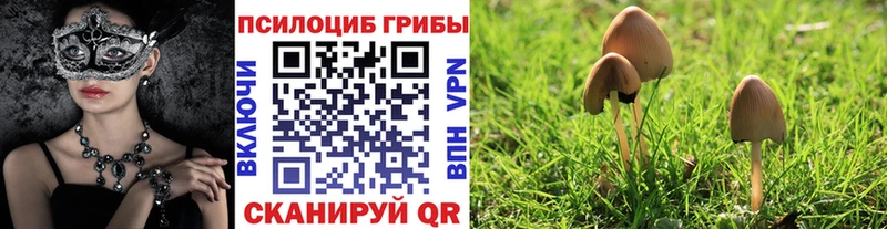 OMG   нарко площадка какой сайт  Галлюциногенные грибы мицелий  наркошоп  Заволжье 